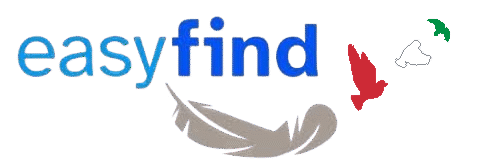 img 1316 — Отредактировано.png